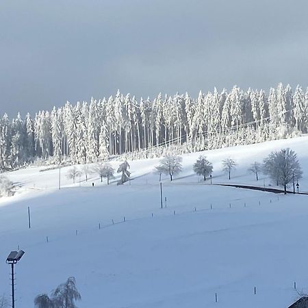 Im Salzgassle Apartment Schonach im Schwarzwald Екстериор снимка