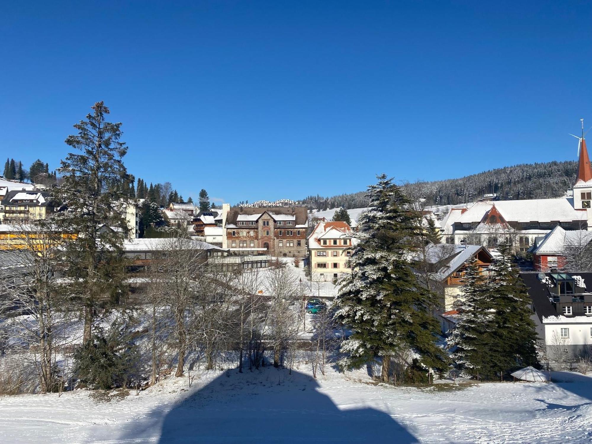 Im Salzgassle Apartment Schonach im Schwarzwald Екстериор снимка