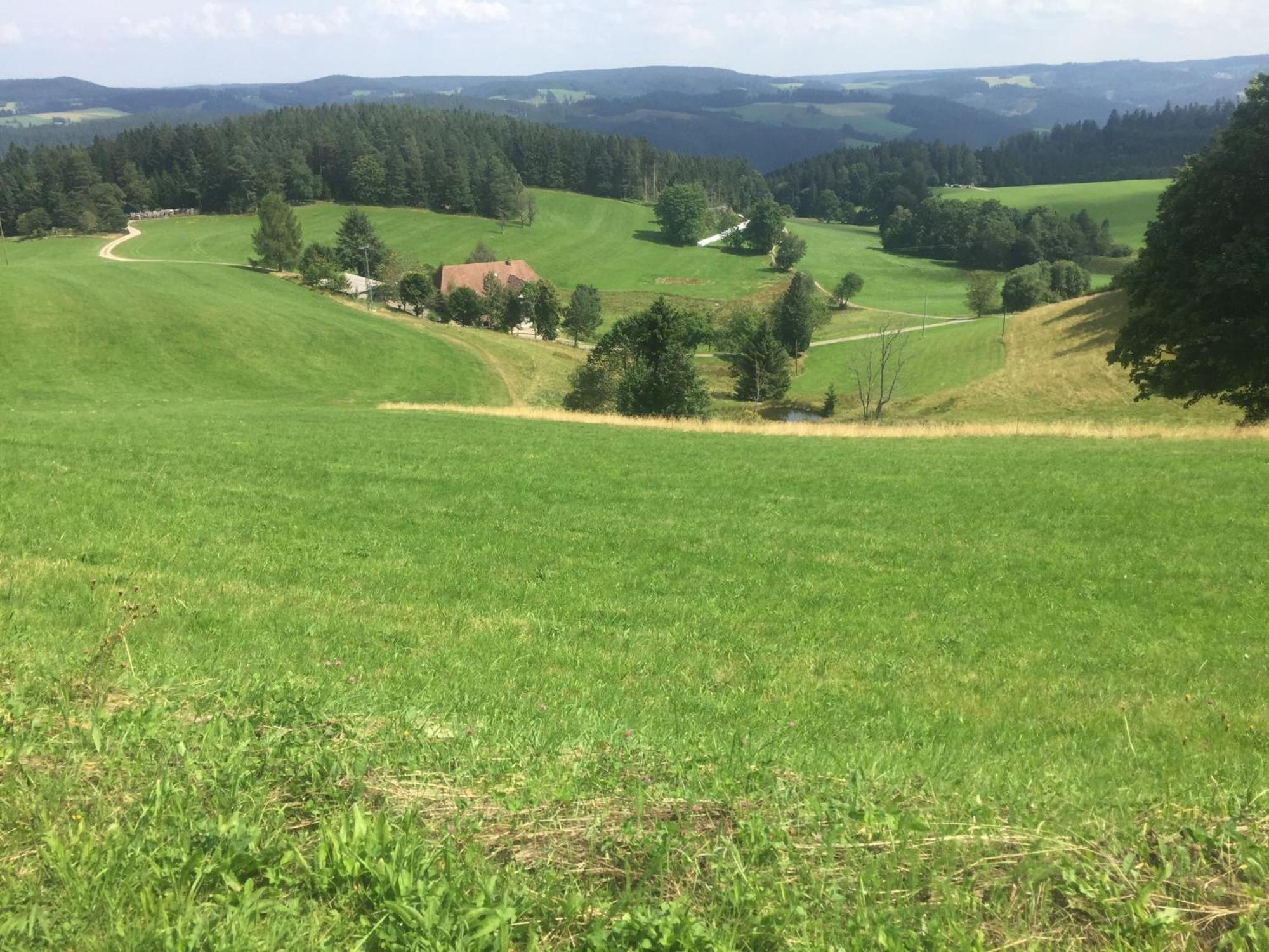 Im Salzgassle Apartment Schonach im Schwarzwald Екстериор снимка